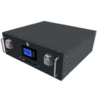 Wellsan lithium ion battery 51.2V 200ah storage lifepo4 battery Lifepo4