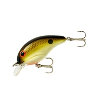 BANDIT LURES Crankbait Series 100 200 & 300 Bass Fishing Lures, Tennessee Shad, Series 100 (Dives to