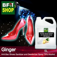 Antibacterial Shoes Sanitizer and Deodorizer Spray (ABSSD) - 75% Alcohol with Ginger - 5L