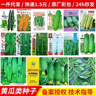现货黄瓜种子种大全水果春秋四季蔬菜青瓜种子当季青瓜种蔬菜种Cucumber Seeds Daquan Fruits Spring and Autumn Seasons Vegetables202512