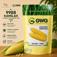 (50g / 100g / 200g) Leckat GWG Seeds 9988 Kamilah F1 Hybrid Bi-Colour Sweet Corn / Jagung Hibrid