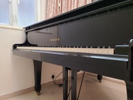 Yamaha C2 Grand Piano 三角琴