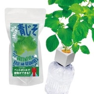 Green Toys - DIY水耕種子套裝 紫蘇葉 日本製造