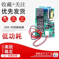 AC 220V Time Relay Trigger Timing Circulation Switch Module Delay Relay