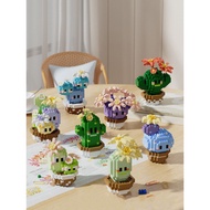Cactus Micro Particle Building Blocks Potted Plant Ornament Educational Assembly Toy Gift for Girls 