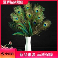 Peacock Feather Ornaments 25-150cm Peacock Feather Feather Ornaments