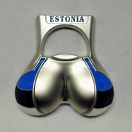 Estonia fridge magnet souvenirs from Europe