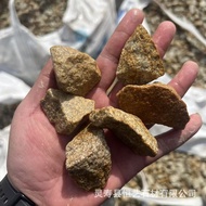 Cypress Yellow Gravel Cypress Yellow Gravel Cypress Yellow Gravel Cypress Yellow Gravel Cypress Yell