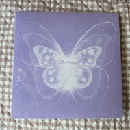 Taeyeon Panorama LP 太妍 黑膠