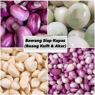 SIAP KUPAS - Bawang Besar India / Bawang Rose / Bawang Siam / Bawang Holland / Bawang Putih