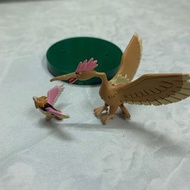 Pokemon 寵物小精靈 立體圖鑑 魔雀 鬼雀