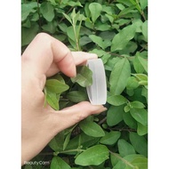 Diameter 51.5MM Focus Diameter 163MM Optical Glue Lens Material H-K9+F4 Part No. 826+827