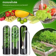 Products Are Available Fresh Vegetable Storage Cup Asparagus Container Vanilla Coriander Fresh-Keepi