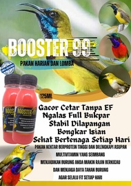 nektar booster 99 nekstar konin nextar kolibri sogon pleci ijo gledek