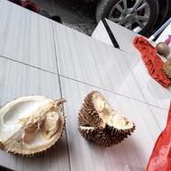 durian montong utuh