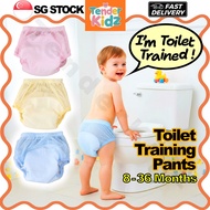 Potty Training Pants, Toilet Training, Pull Up Pants, Baby Training Pants, Potty Training Underwear