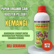 Basil Fertilizer Ready-to-Plant Basil Fertilizer/ Basil Seed Fertilizer/ Broadleaf Basil Fertilizer/