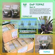 Bibit Benih Kecambah Sawit Unggul TOPAZ 3 SERI 4 (ISI 150 & 250 BUTIR)