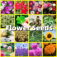 Flower Seeds -Many Kinds of Flower Plant Seed for Sale Flowering Plants Seeds Easy To Grow In Malaysia Benih Pokok Bunga