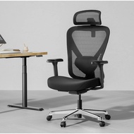 Hinomi Q1 Ergonomic Home Office Mesh Chair Ergochair With Adjustable Lumbar Support Headrest and Arm