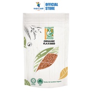 Radiant Organic Flaxseed (500g)
