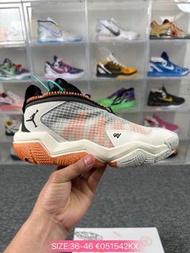 Air Jordan Why Not .6