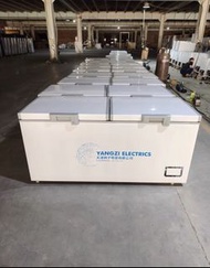 💥【廠家直銷】冰櫃Freezer  商用  家用  大容量  臥式  保鮮  冷凍  冷櫃#冰櫃#廠家直銷#冷凍柜