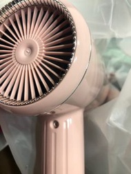 LFCare 臺灣110V可用網紅玫瑰金吹風機家用靜音養髮護髮速幹簡約小巧