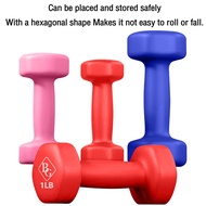 B&G Muscle Power Lady Dumbbell Set Pair 6Lbs To 10Lbs-Q311
