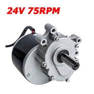 มอเตอร์แปรงความเร็วต่ำ 24v 250w 75 RPM 120 RPM มอเตอร์เกียร์ dc แบบแปรงที่ใช้สำหรับรถเข็น My1016Z สํ