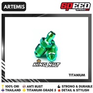 Titanium Probolt Bolt Wind Caliper Brembo Grade 5 King Nut Th