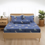 NEW 2025 Set of 3,4 Piece cotton sheets, pillowcases NIN Calisto CT220041 1m2, 1m4, 1m6, 1m8 covered