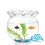 [HCM]Hồ Cá Bể Cá Miệng Bèo Thuỷ Tinh B11 17 x 16  Cm Tặng Kèm Sỏi Và Rong Trang Trí