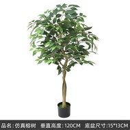 Plant-L(SHRI) ต้นไทร ไม้เลื้อย แต่งบ้านแต่งโรงแรม ต้นไม้ปลอม ราคาถูก พร้อมส่งในไทย
