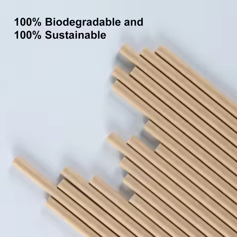 100 Pcs Paper Straws 7.75 in Long Disposable Straws for Smoothies Tumblers Cocktail MilkShake for Co