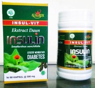 Kapsul Daun Insulin INSU VIT Insulvit kapsul insulin herbal atasi diabetes