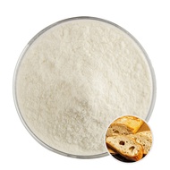 Factory Supply vital wheat gluten Food Grade Gluten Powder
