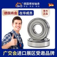 BKD Imported Bearing 6201 High Speed 6202 Motor 6203/6204/6205/6206RS Bearing Daquan TVBR