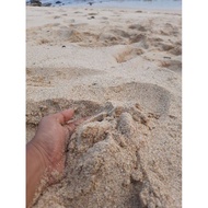 Murah Pasir Laut Putih 1 Kg