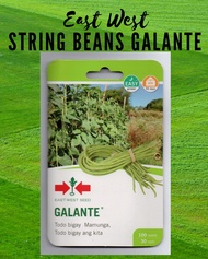 East West STRING BEANS Seeds Galante - SITAW