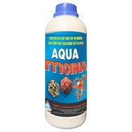 Aqua MOINA