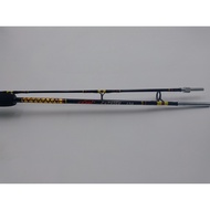 Exori Catfish Fishing Rod