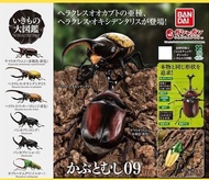 萬代扭蛋生物大圖鑒甲蟲系列09 全套