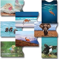 8 RFID Blocking Sleeves, Anti-Theft Credit Card Holder, Credit Card Protector, Easy to Recognize, Different Designs, Sea Turtle, Kingfisher, Elephant, Monkey, Kangaroo, Goat, Sea Otter, Bird