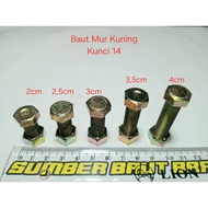 Yellow Bolts and Nuts M10 2cm to 4cm/ 14 key BMK/