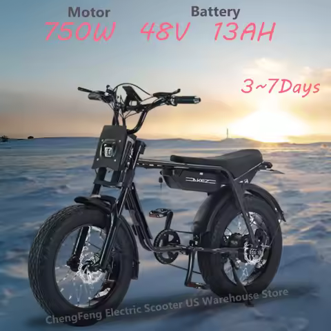 Ebike Hot Promotion AKEZ-ZX 750W Motor 48V 13AH Battery, 20-inch Fat Tires, Hydraulic Brakes, Adult 