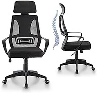 IULULU Ergonomic Office Chair High Back Breathable Mesh Desk Rolling Swivel Computer Task Armchair Home with Adjustable Headrest Lumbar Support Armrest, Black