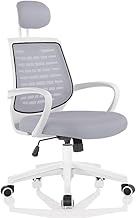 HDZWW Ergonomic Office Chair Computer Chair Desk Chair High Back Chair Breathable（113cm） with Lumbar Support and Mid Back Mesh Space Air Grid Series with Swivel Casters for Home Office Conference Grey