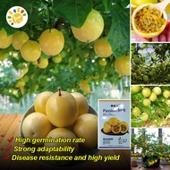 100% Fresh Organic Yellow Passion Fruit Seeds (50pcs) High Yield Passion Fruit Live Plant Gardening 