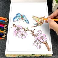 coloring book buku mewarna Lukisan Cina Lukisan Putih Salin Album Pengenalan Kanak-kanak Pemula Luki